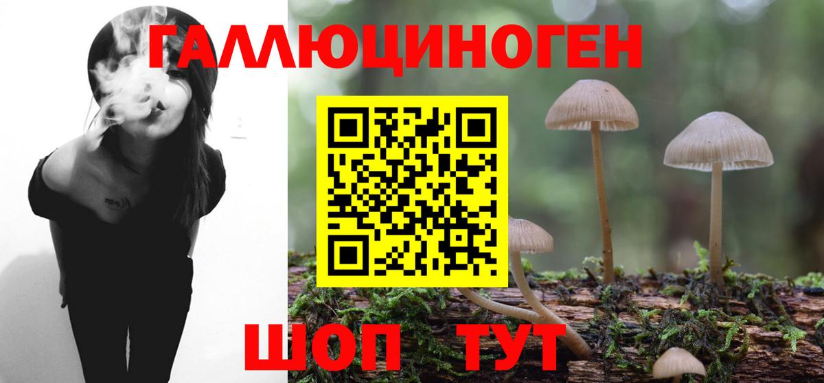 Галлюциногенные грибы Psilocybe  Вход с VPN  Галлюциногенные грибы Psilocybine cubensis  сколько стоит  Ковров 